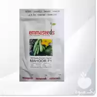 قیمت خرید بذر کدو ماهور در ارومیه در گروه خرید و فروش بذر کدو در یکمیوه