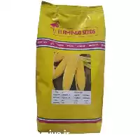 قیمت خرید بذر ذرت شیرین سمیرا در شیراز در گروه خرید و فروش بذر ذرت در یکمیوه