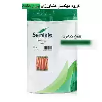 بذر هویج نانتس 2000 سمینیس در همدان در گروه خرید و فروش بذر هویج در یکمیوه