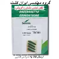فروش بذر خیار هیبرید امپراطور در مشهد در گروه خرید و فروش بذر خیار در یکمیوه