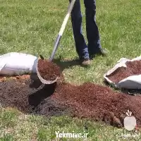 فروش کود دامی عمده در تهران در گروه خرید و فروش کود دامی در یکمیوه