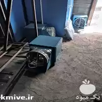 قیمت خرید مه پاش قارچ مه در تبریز در گروه خرید و فروش قارچ در یکمیوه