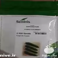 قیمت خرید ویژه بذر خیار امپراطور در شیراز در گروه خرید و فروش بذر خیار در یکمیوه