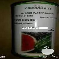 فروش بذر هندوانه هیبرید تندر دارای در گروه خرید و فروش بذر هندوانه در یکمیوه