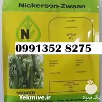 فروش بذر خیار بذر کیهان در گروه خرید و فروش بذر خیار در یکمیوه