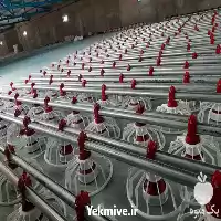 قیمت خرید عرضه آبخوری دانخوری مرغ در اهواز در گروه تجهیزات مرغداری در یکمیوه