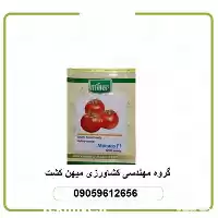 فروش بذر گوجه فرنگی موناکو در کرمانشاه در گروه خرید و فروش بذر گوجه در یکمیوه