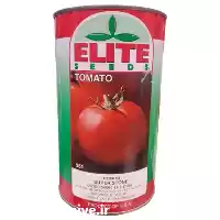 فروش توزیع بذر گوجه الیت در تهران در گروه خرید و فروش بذر گوجه در یکمیوه