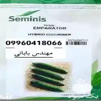 فروش بهترین قیمت بذر خیار مرغوب در مشهد در گروه خرید و فروش بذر خیار در یکمیوه