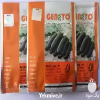 خرید و عرضه بذر بادمجان بلک در گروه خرید و فروش بذر بادمجان در یکمیوه