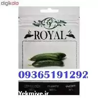 بذر خیار رویال قیمت پر فروش در گرگان در گروه خرید و فروش بذر خیار در یکمیوه