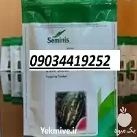 بذر هندوانه پر فروش اصل در زاهدان در گروه خرید و فروش هندوانه در یکمیوه
