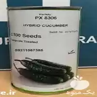 قیمت خرید سفارش بذر خیار ویکتوریا در گروه خرید و فروش بذر خیار در یکمیوه