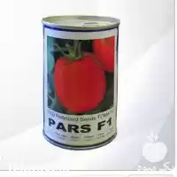 فروش بذر گوجه فرنگی پارس در ارومیه در گروه خرید و فروش بذر گوجه در یکمیوه