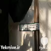 تولید فروش عمده نهال انار رقم در تهران در گروه خرید و فروش نهال انار در یکمیوه