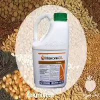 فروش سم قارچ کش ماکسیم ایکس در زنجان در گروه خرید و فروش انواع سم در یکمیوه