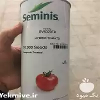 فروش بذر گوجه فرنگی ثمین رقم در اصفهان در گروه خرید و فروش بذر گوجه در یکمیوه