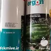 قیمت خرید بذر هندوانه ارگون باکیفیت در اصفهان در گروه خرید و فروش بذر هندوانه در یکمیوه