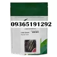 فروش بذر هندوانه 32 b در شیراز در گروه خرید و فروش بذر هندوانه در یکمیوه