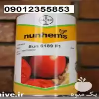 خرید بذر گوجه فرنگی سانسید 6189 در اهواز در گروه خرید و فروش بذر گوجه در یکمیوه
