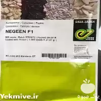 فروش بذر خیار نگین باصرفه اقتصادی در گروه خرید و فروش بذر خیار در یکمیوه