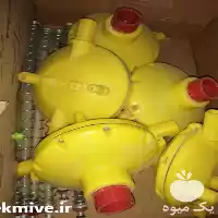 فروش خریدار تجهیزات مرغداری در گرگان در گروه تجهیزات مرغداری در یکمیوه