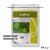 قیمت خرید بذر هندوانه باراکا سینجنتا در اهواز در گروه خرید و فروش بذر هندوانه در یکمیوه