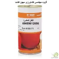 مهندسی کشاورزی بذر گوجه 6189 در اصفهان در گروه مهندس کشاورزی در یکمیوه