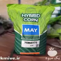 قیمت خرید بذر ذرت دو منظوره در اهواز در گروه خرید و فروش بذر ذرت در یکمیوه