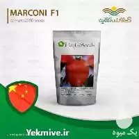 فروش بذر گوجه فرنگی مارکنی در تهران در گروه خرید و فروش بذر گوجه در یکمیوه