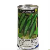 فروش بذر خیار اینفینیتی دلتا در مشهد در گروه خرید و فروش بذر خیار در یکمیوه