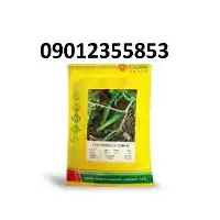 بذر خیار گلوریا پر فروش اصل در مشهد در گروه خرید و فروش بذر خیار در یکمیوه