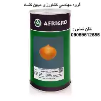 بذر پیاز زرد آفریگرو در اصفهان در گروه خرید و فروش بذر پیاز در یکمیوه