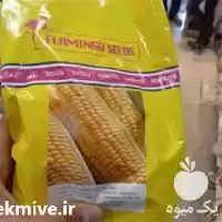 فروش بذر ذرت سمیرا اصل در تبریز در گروه خرید و فروش انواع بذر در یکمیوه