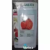فروش بذر گوجه فرنگی هیبرید ادورا در اهواز در گروه خرید و فروش بذر گوجه در یکمیوه