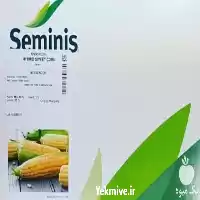 فروش بذر ذرت شیرین مسنجر در اصفهان در گروه خرید و فروش بذر ذرت در یکمیوه