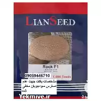 قیمت خرید قیمت بذر خربزه راک در گروه خرید و فروش بذر خربزه در یکمیوه