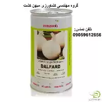 بذر پیاز سفید دلفارد در گروه مهندس کشاورزی در یکمیوه