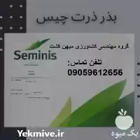 قیمت خرید بذر ذرت چیس سمینیس در قزوین در گروه خرید و فروش بذر ذرت در یکمیوه