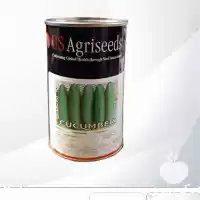 فروش بذر خیار سوپر استار در ارومیه در گروه خرید و فروش بذر خیار در یکمیوه