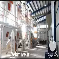 کارخانه تولید خوراک ابزیان صادراتی در تهران در گروه واردات و صادرات در یکمیوه
