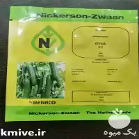 فروش بذر خیار درختی کیهان در قزوین در گروه خرید و فروش بذر خیار در یکمیوه