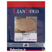 قیمت خرید عرضه بذر ملون راک در گروه خرید و فروش بذر خربزه در یکمیوه