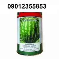 قیمت خرید بذر هندوانه ناسکو تولید در اهواز در گروه خرید و فروش بذر هندوانه در یکمیوه