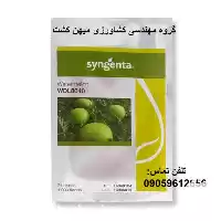 قیمت خرید بذر هندوانه WLD 8040 در گروه خرید و فروش بذر هندوانه در یکمیوه