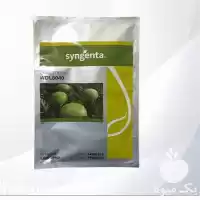 فروش بذر هندوانه دبلیو دی ال در گروه خرید و فروش بذر هندوانه در یکمیوه