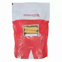 فروش بذر ذرت لیندا در تبریز در گروه خرید و فروش بذر ذرت در یکمیوه