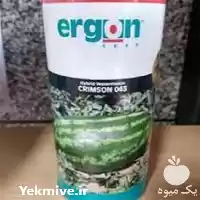 فروش پخش بذر هندوانه ارگون در هرمز در گروه خرید و فروش هندوانه در یکمیوه