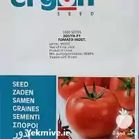 قیمت خرید بذر گوجه فرنگی ارگون در سمنان در گروه خرید و فروش بذر گوجه در یکمیوه