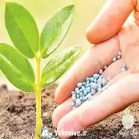 تولید و فروش کود شیمیایی در تهران در گروه خرید و فروش کود شیمیایی در یکمیوه